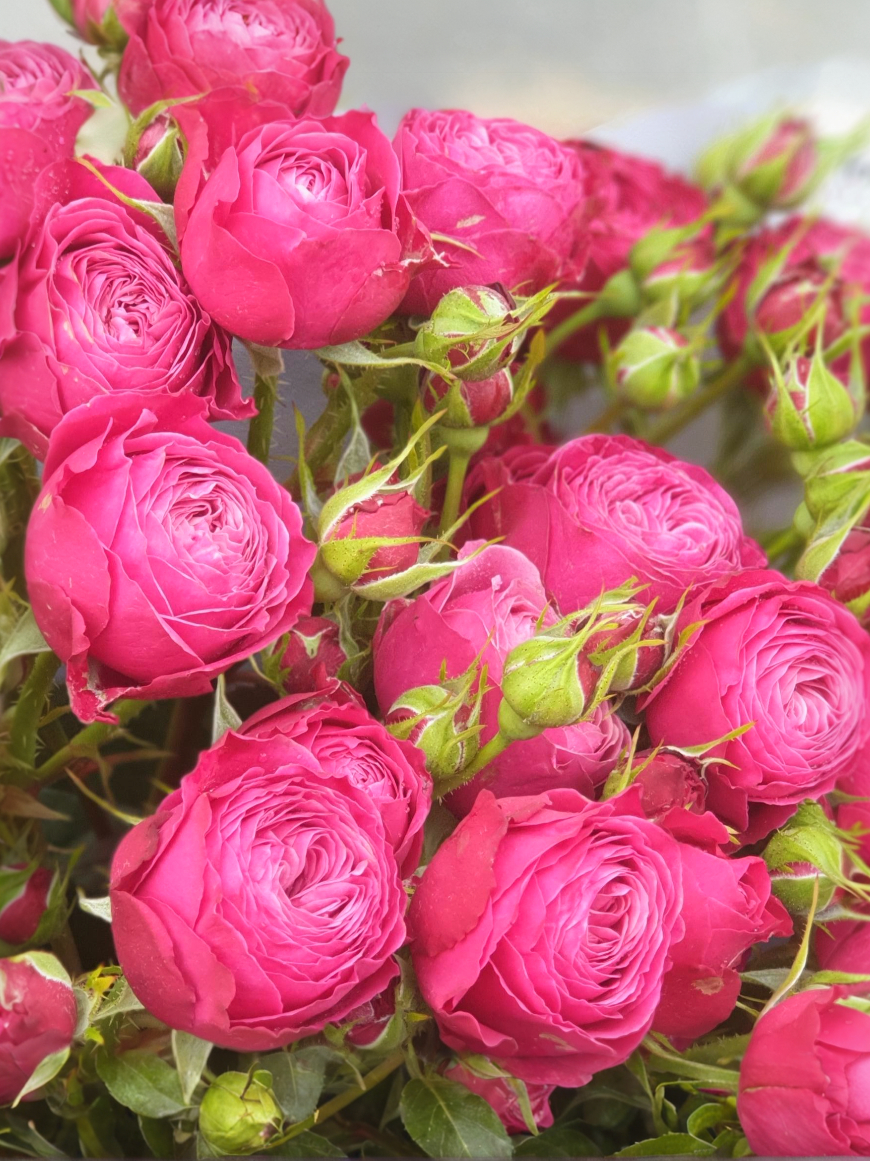 Пати Трендсеттер_edited_edited