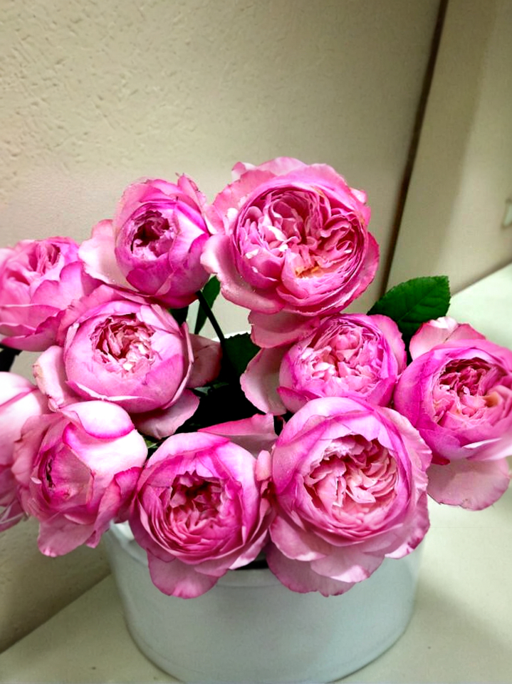 Претти Нина_edited_edited