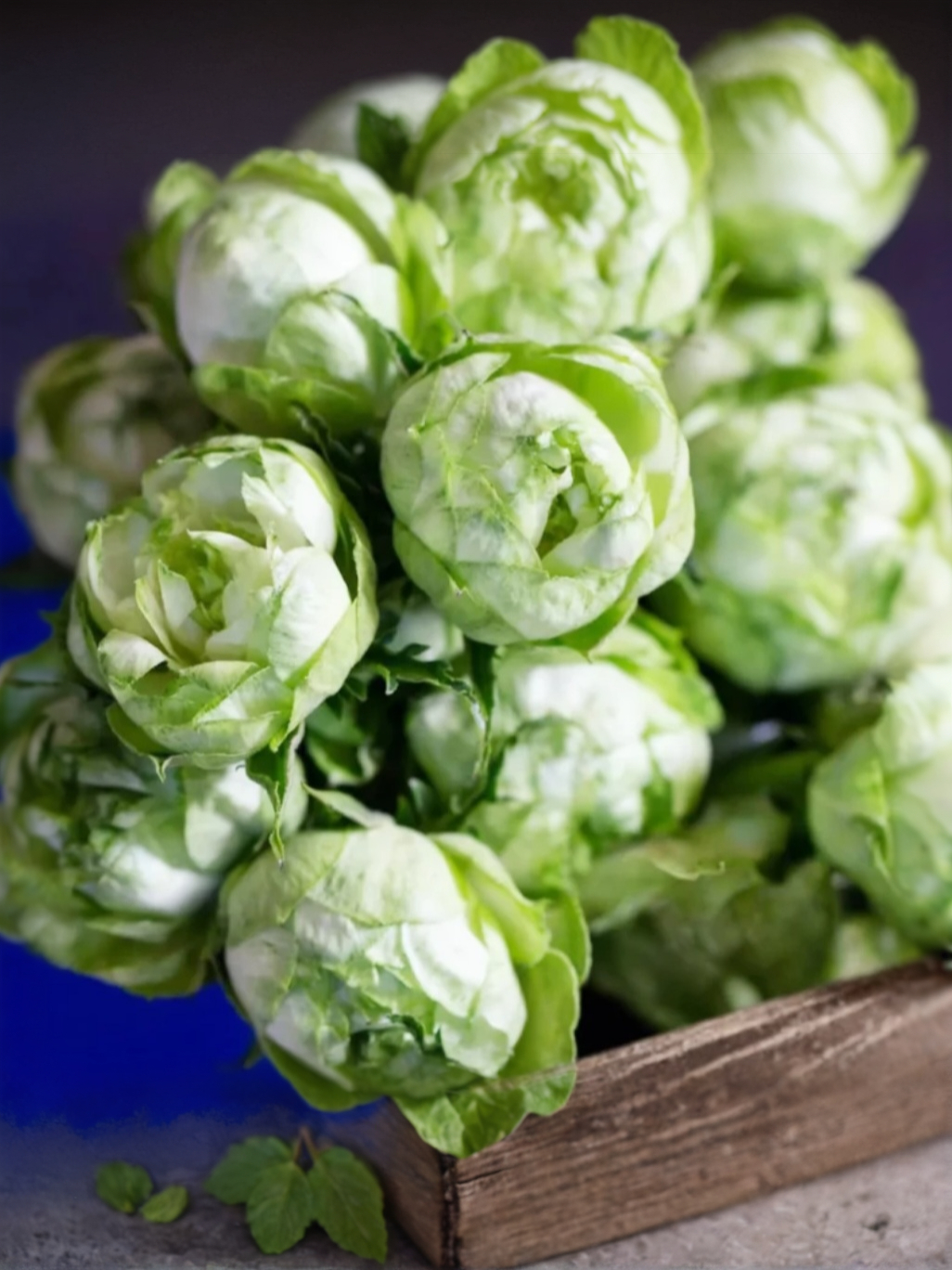 Принцесса Мидори3_edited