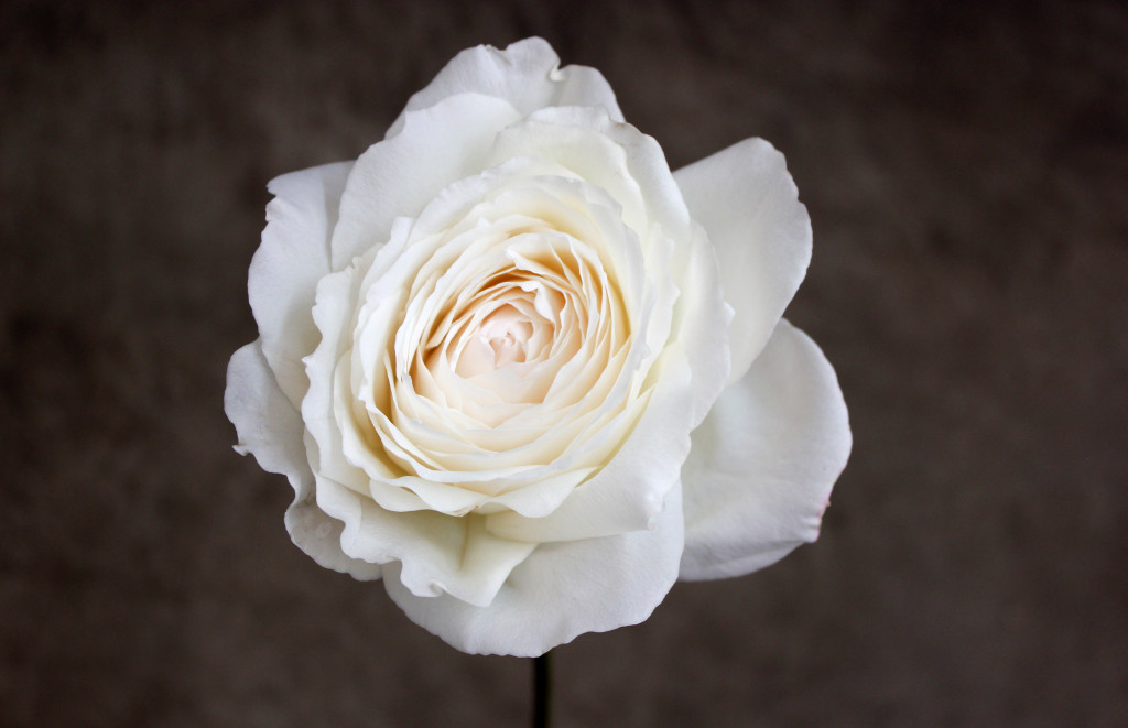 принцесса миюки