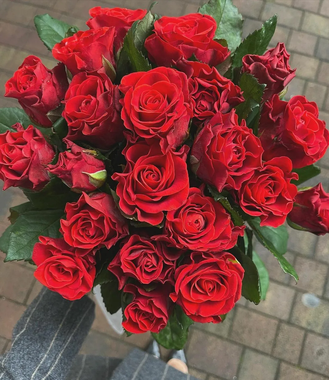 Пушкин (Pushkin) 1