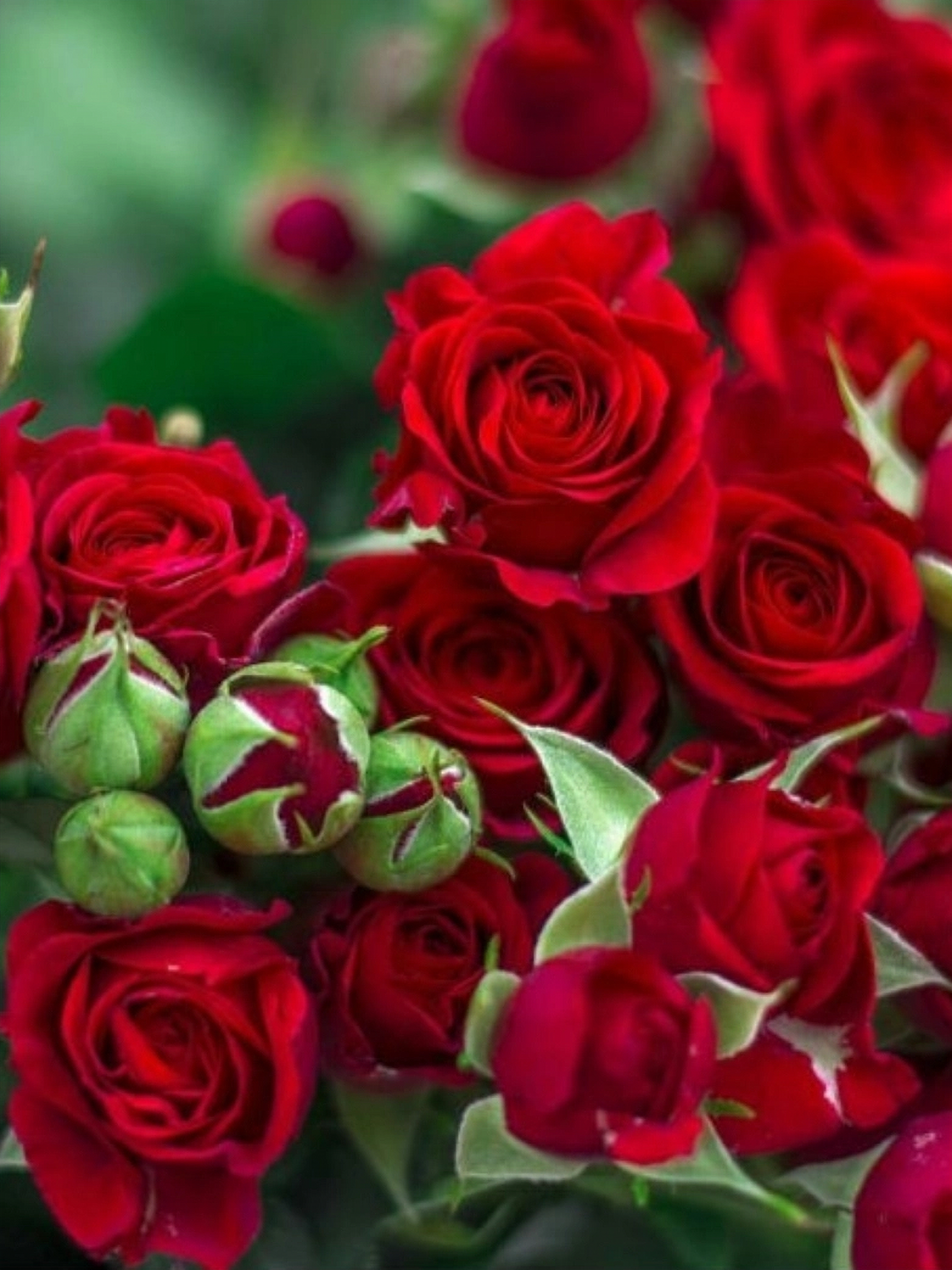 result_img_2021_02_01_22_57_03_edited