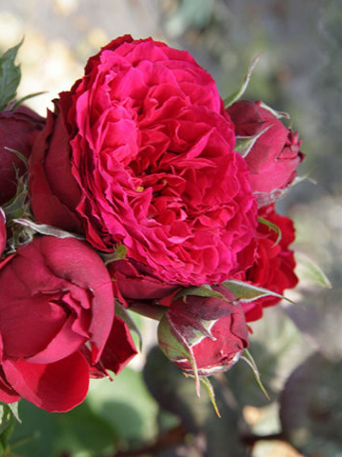 result_img_2021_08_14_18_11_08_edited