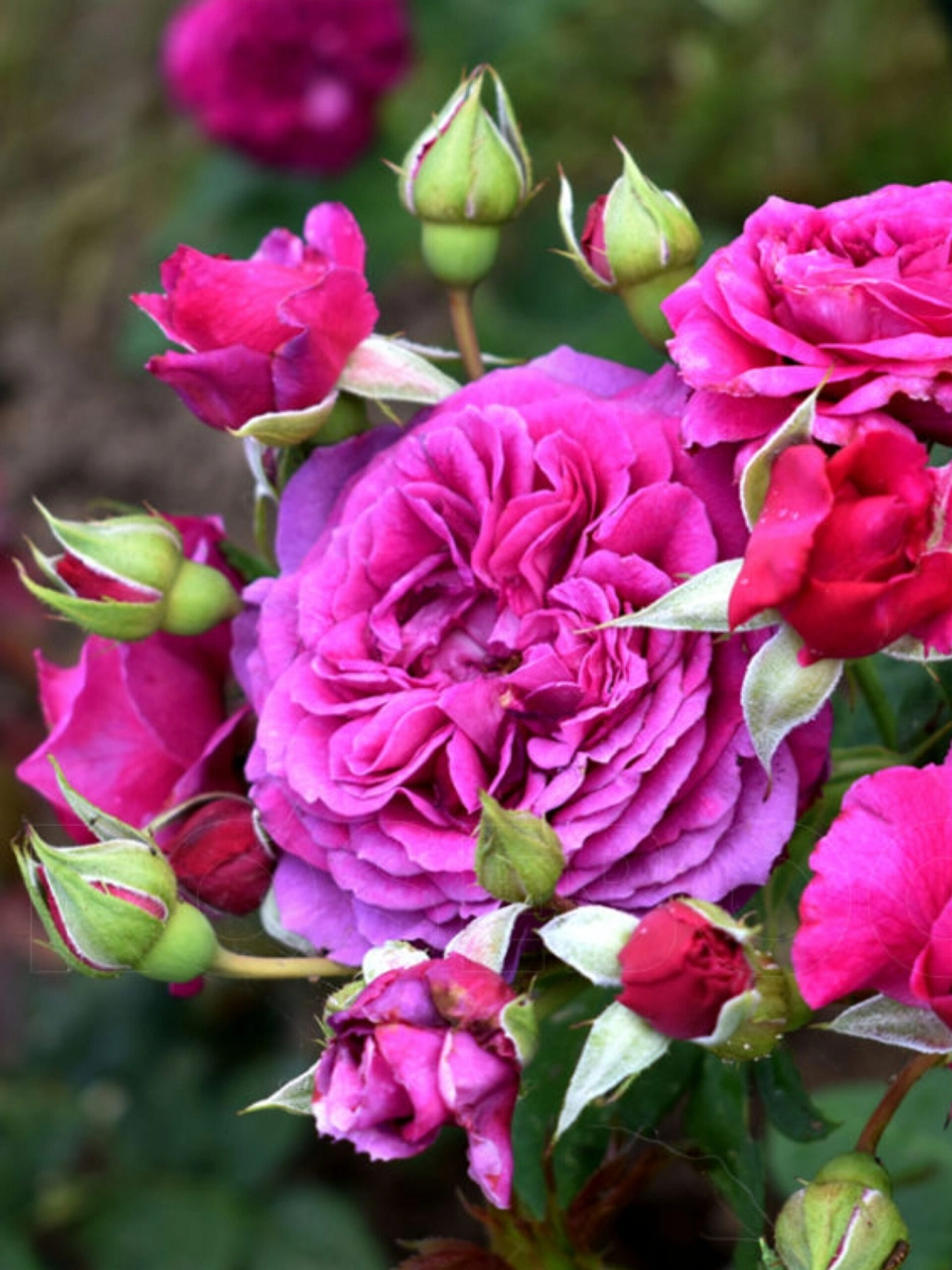 result_img_2021_09_26_18_23_29_edited