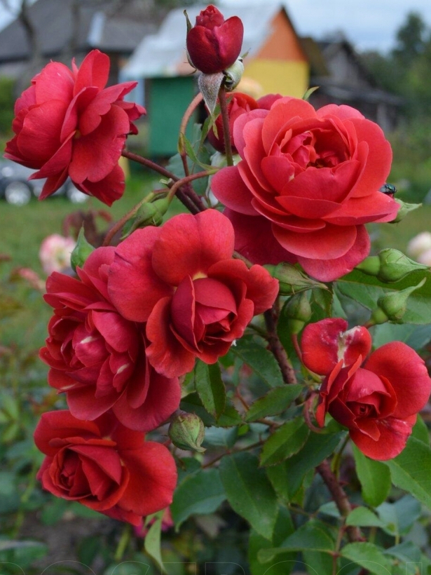 Рита_edited_edited