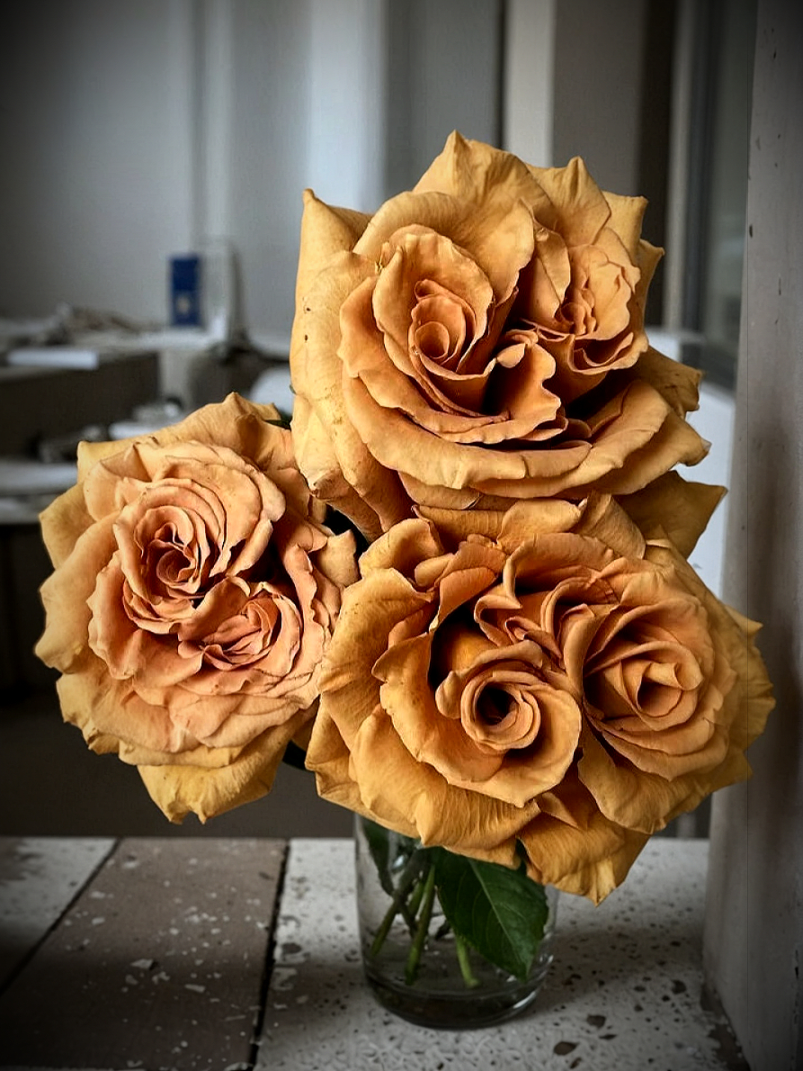 Роза Тоффи (Toffee)_edited