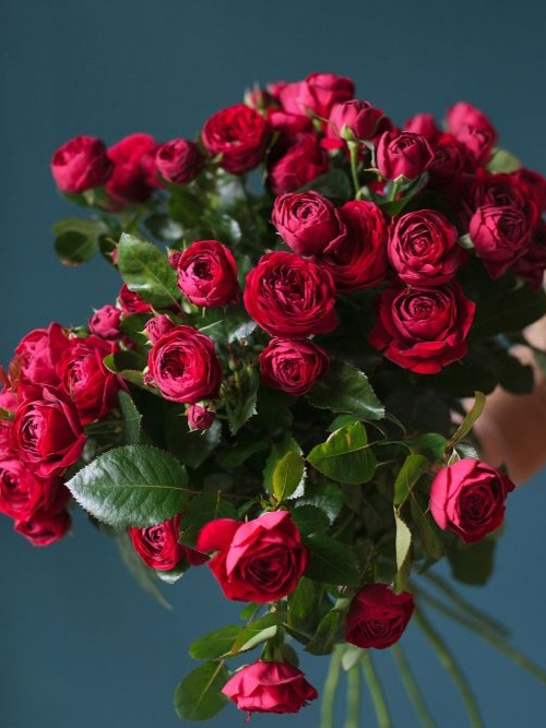 руби_edited_edited