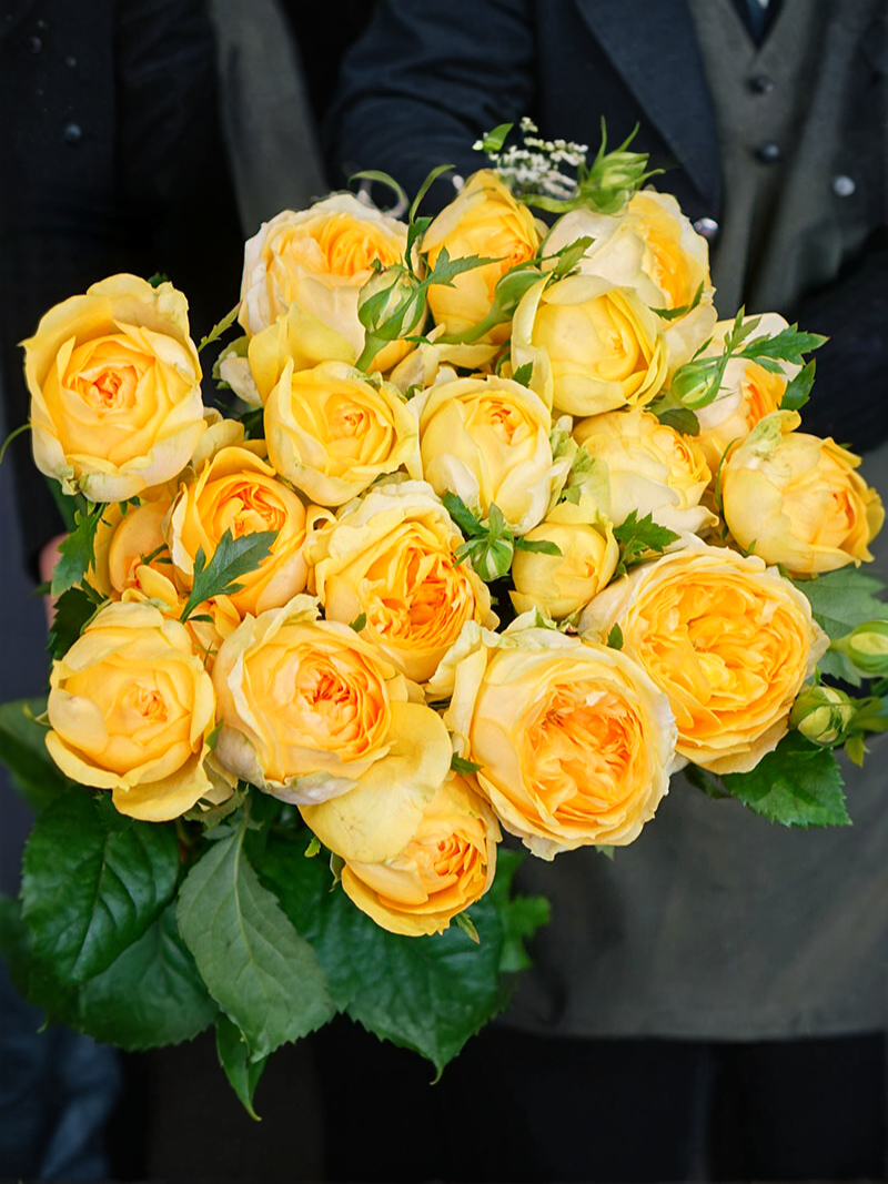 Сильва Санни_edited_edited