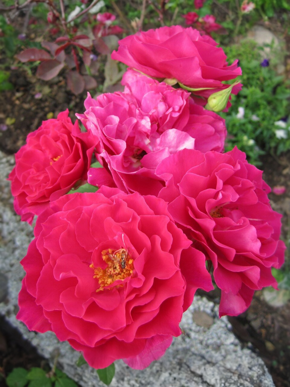 Сувенир_edited