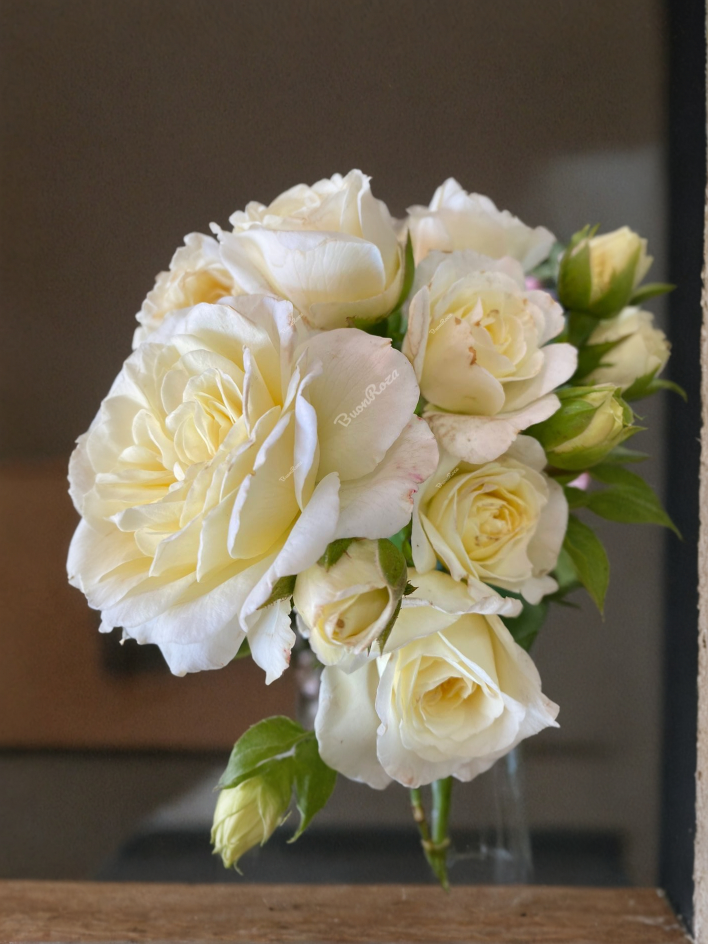 Транквилити4