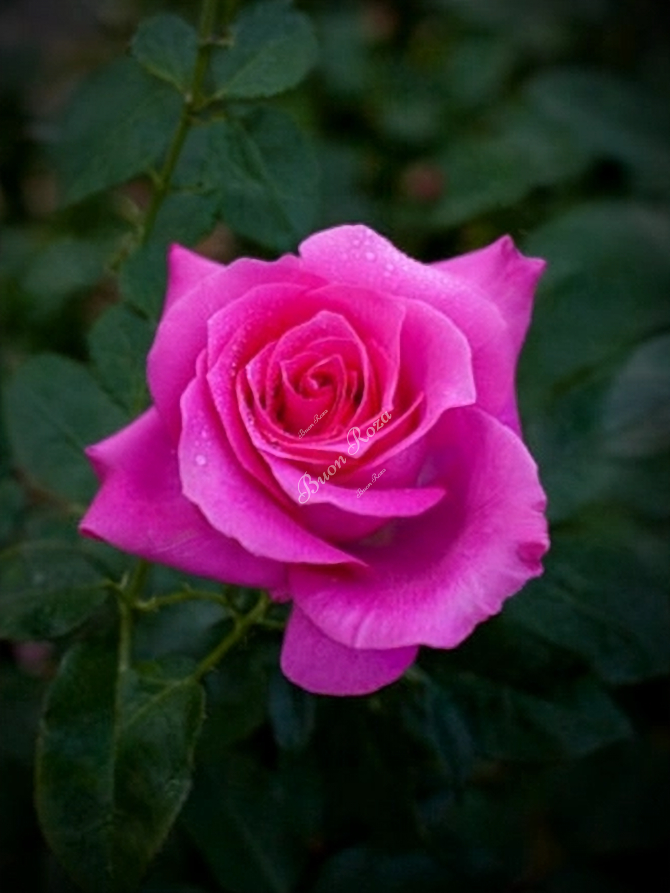 урара3_edited_edited_edited