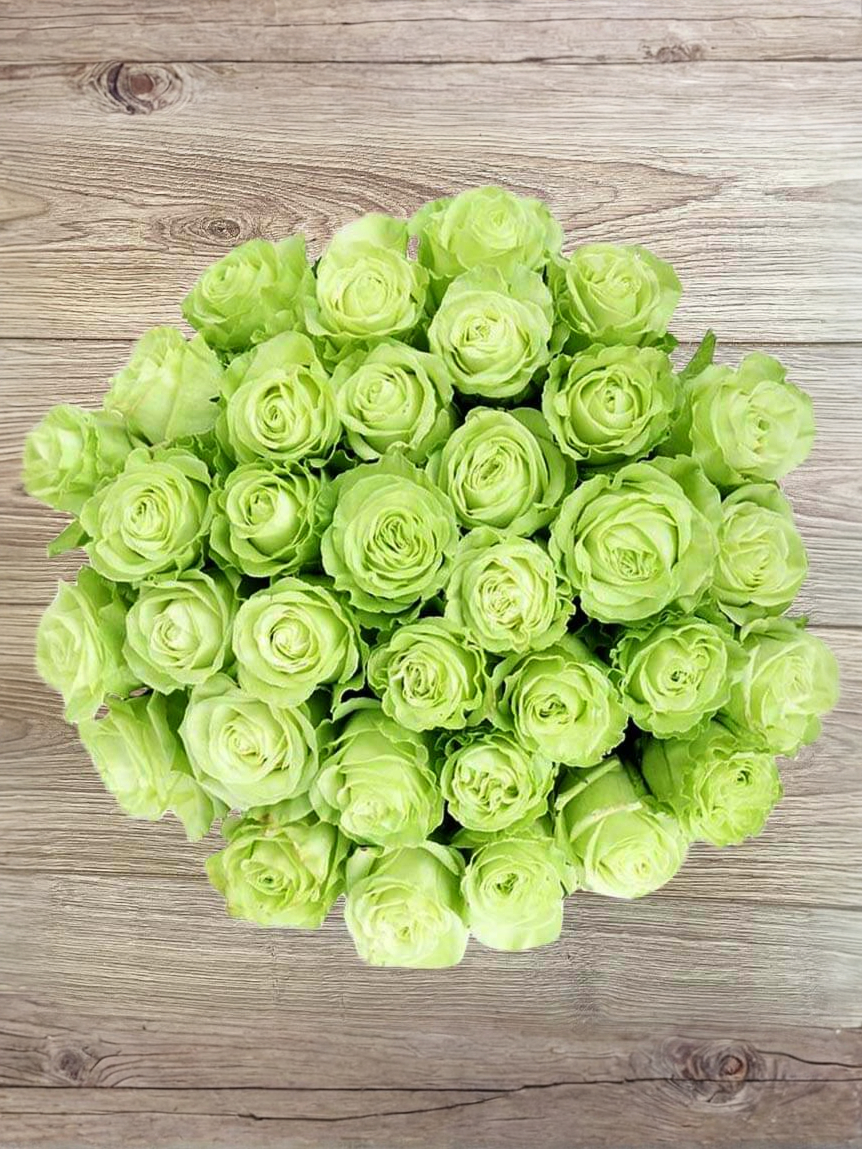 Васаби3_edited_edited