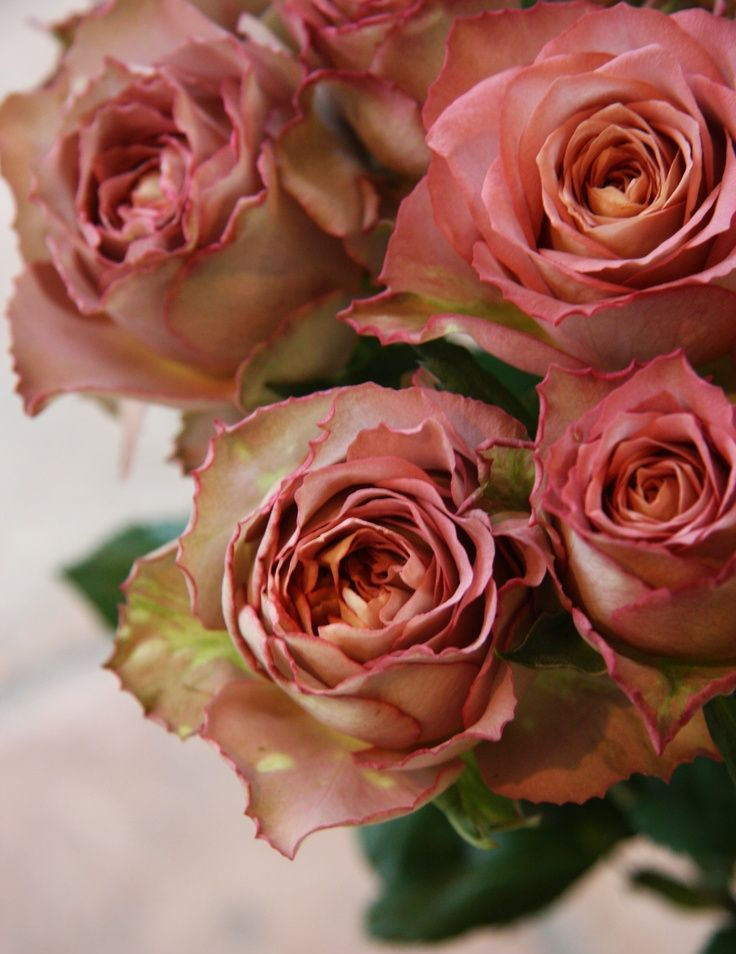 Винтаж3_edited